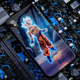 LEDLZ19